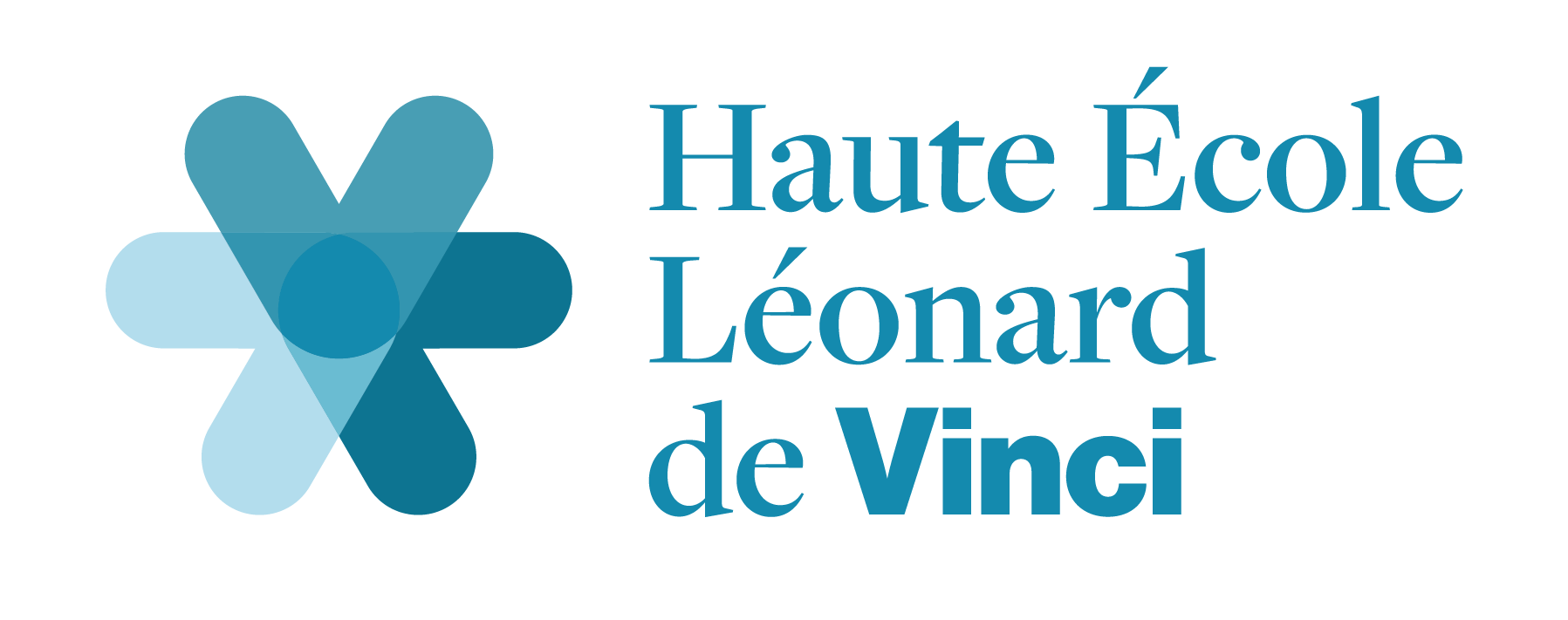 TELEMIS présente le TM-School : une solution innovante pour l’enseignement en imagerie médicale